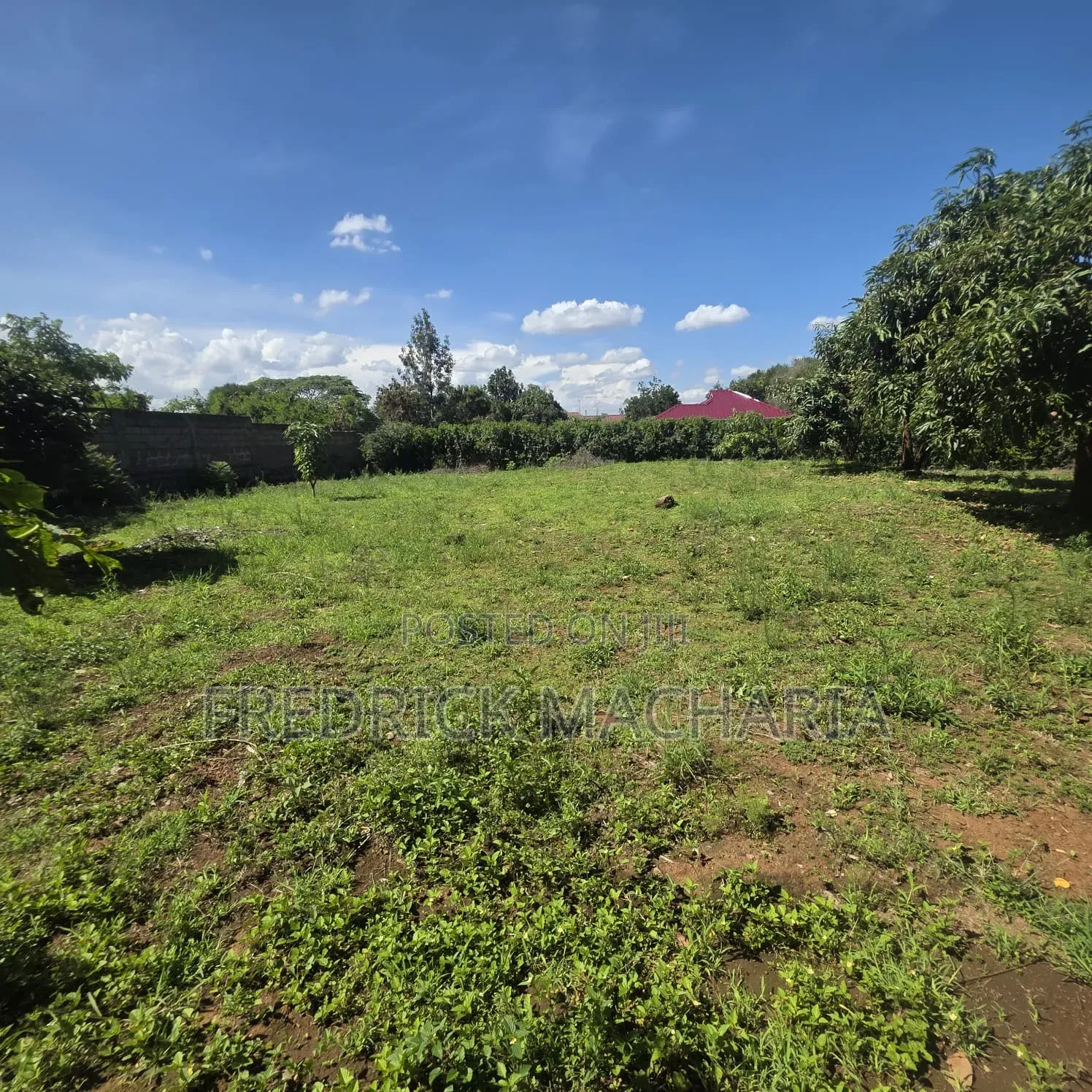 2Adjacent Commercial Plot for Sale Kamakis
