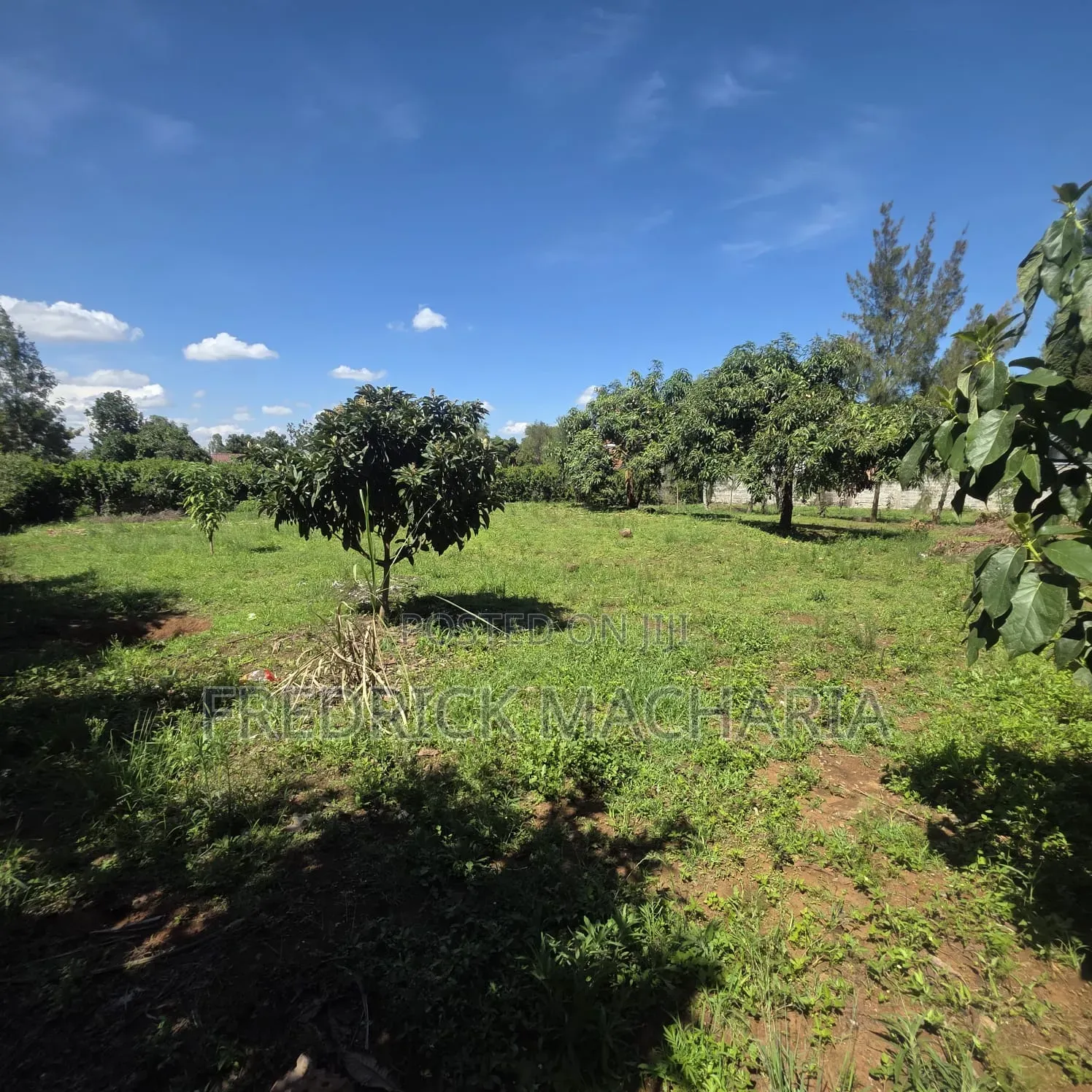 2Adjacent Commercial Plot for Sale Kamakis