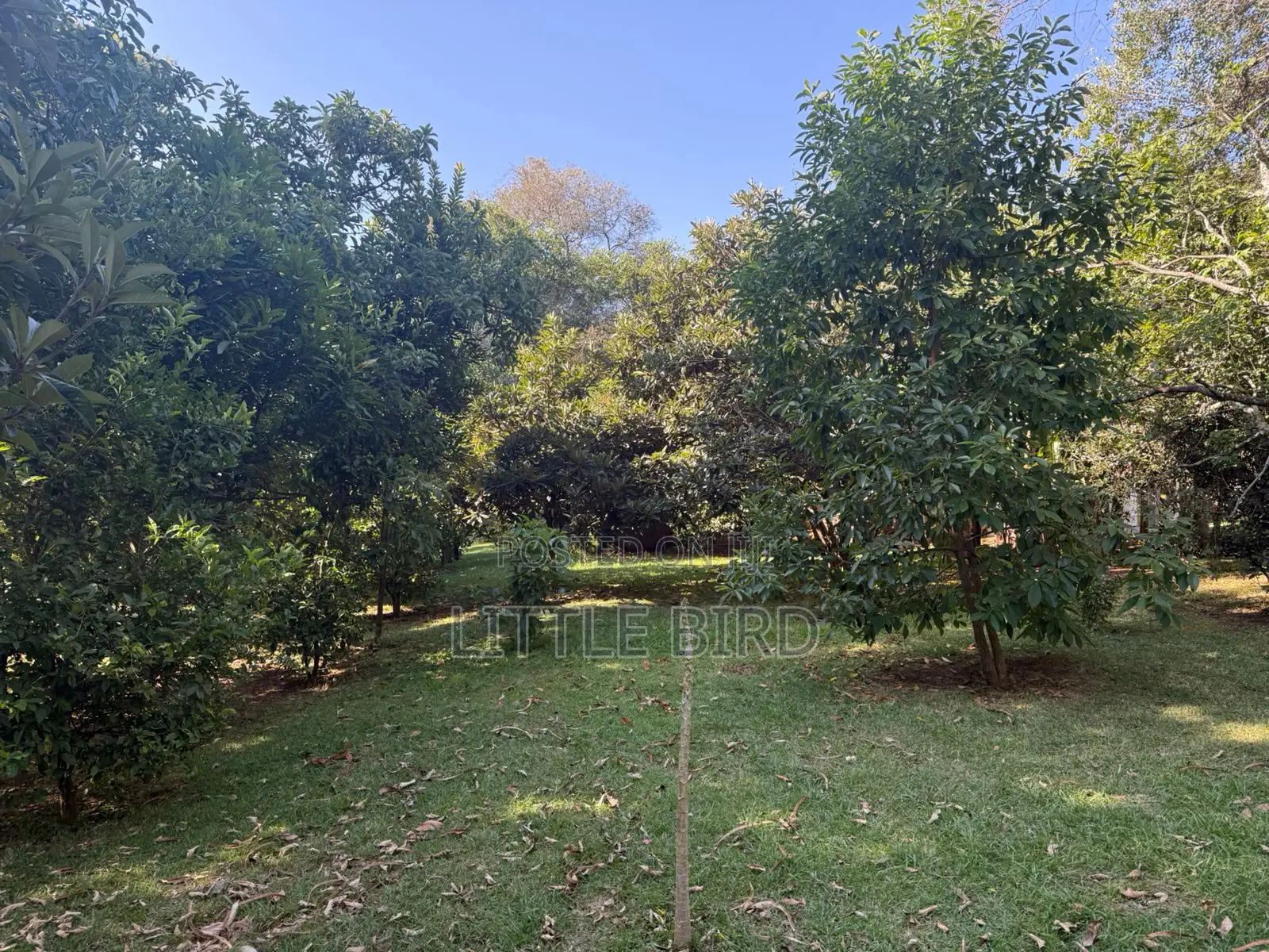 8bdrm Villa in Hardy for sale