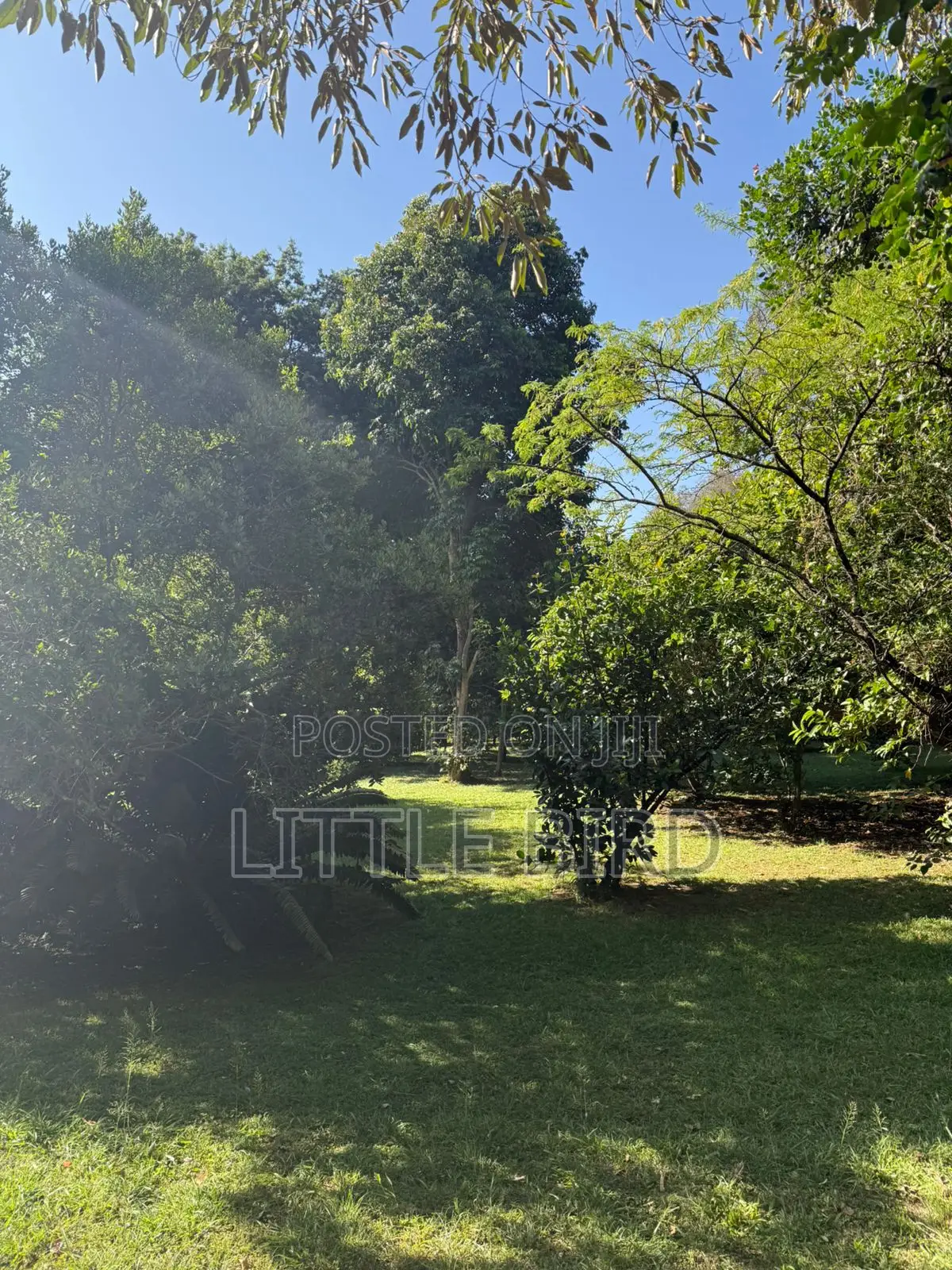 8bdrm Villa in Hardy for sale