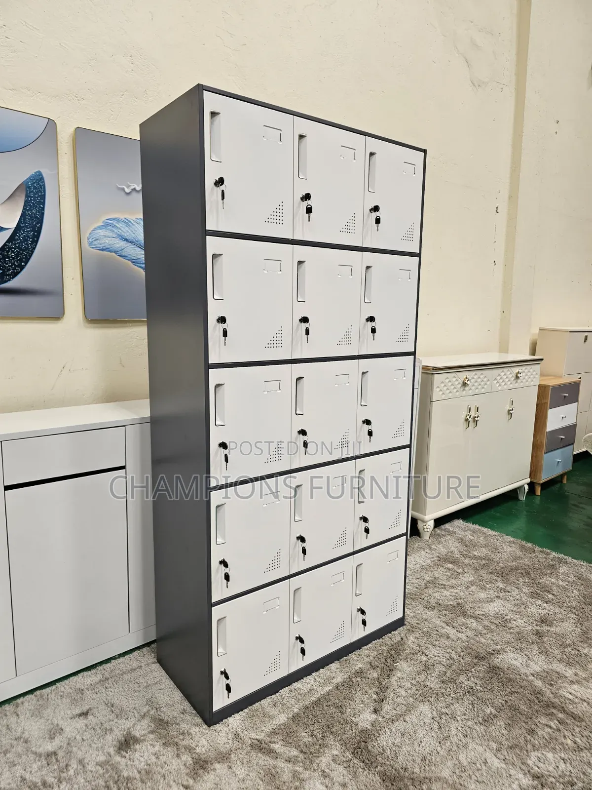 15 Lockers Storage Cabinet
