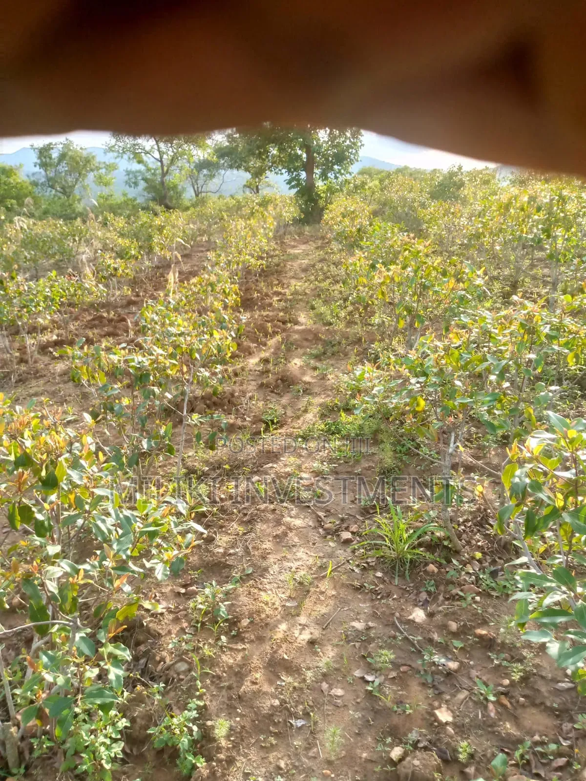 1.5 Acre on Sale at Siakago-Embu