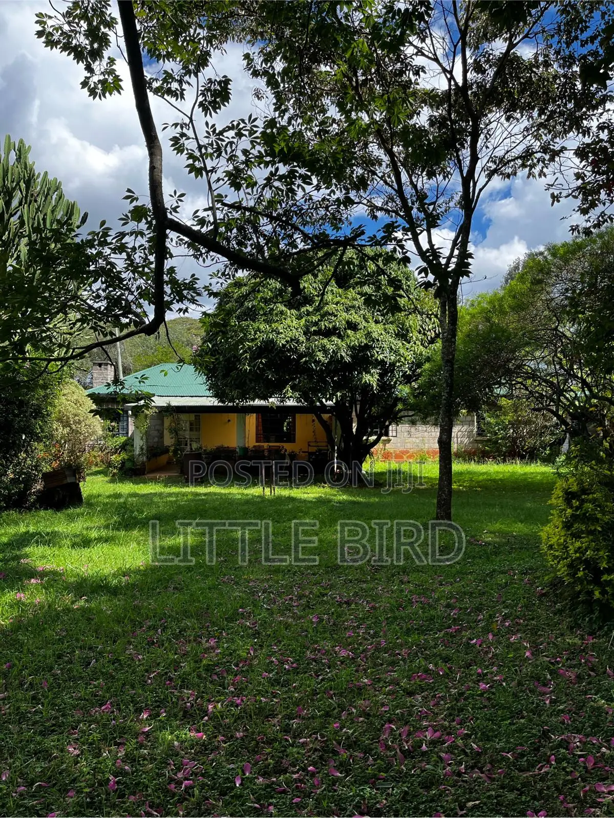 3bdrm Bungalow in Hardy for rent