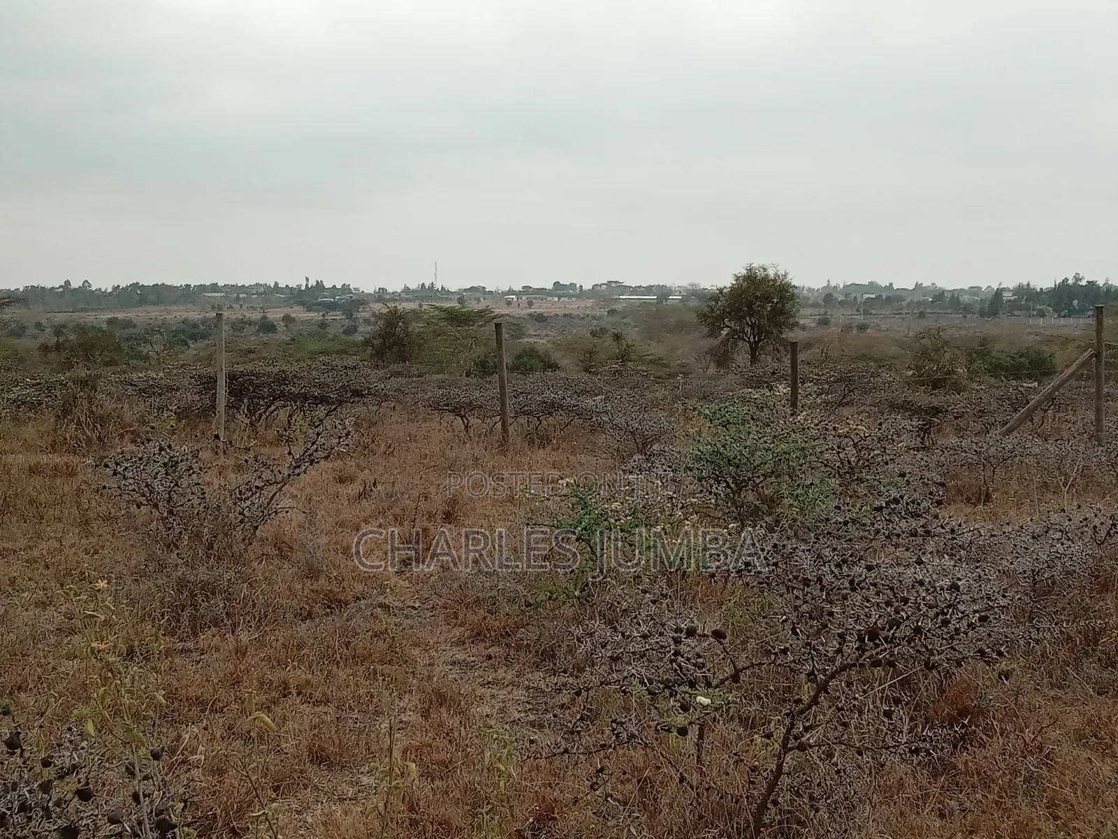1/4 Plot at Undugu Children's