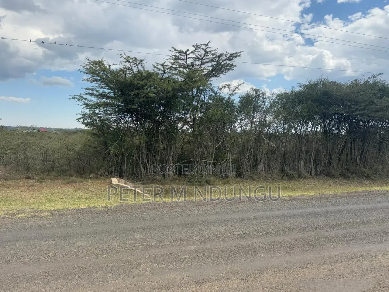 Nanyuki Near Ol Pejeta Conservancy-16 Acres, Title