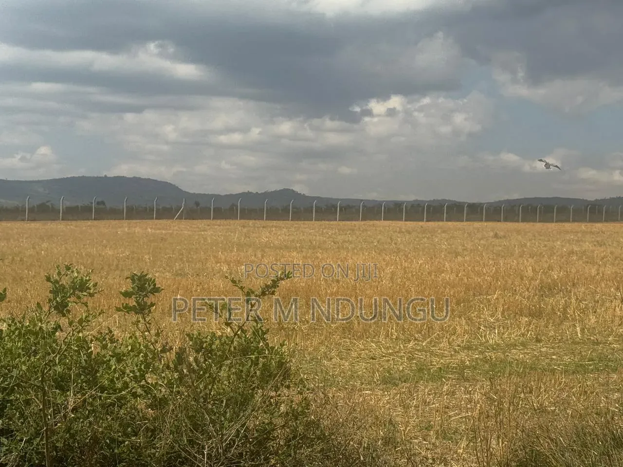 Nanyuki Near Ol Pejeta Conservancy-16 Acres, Title