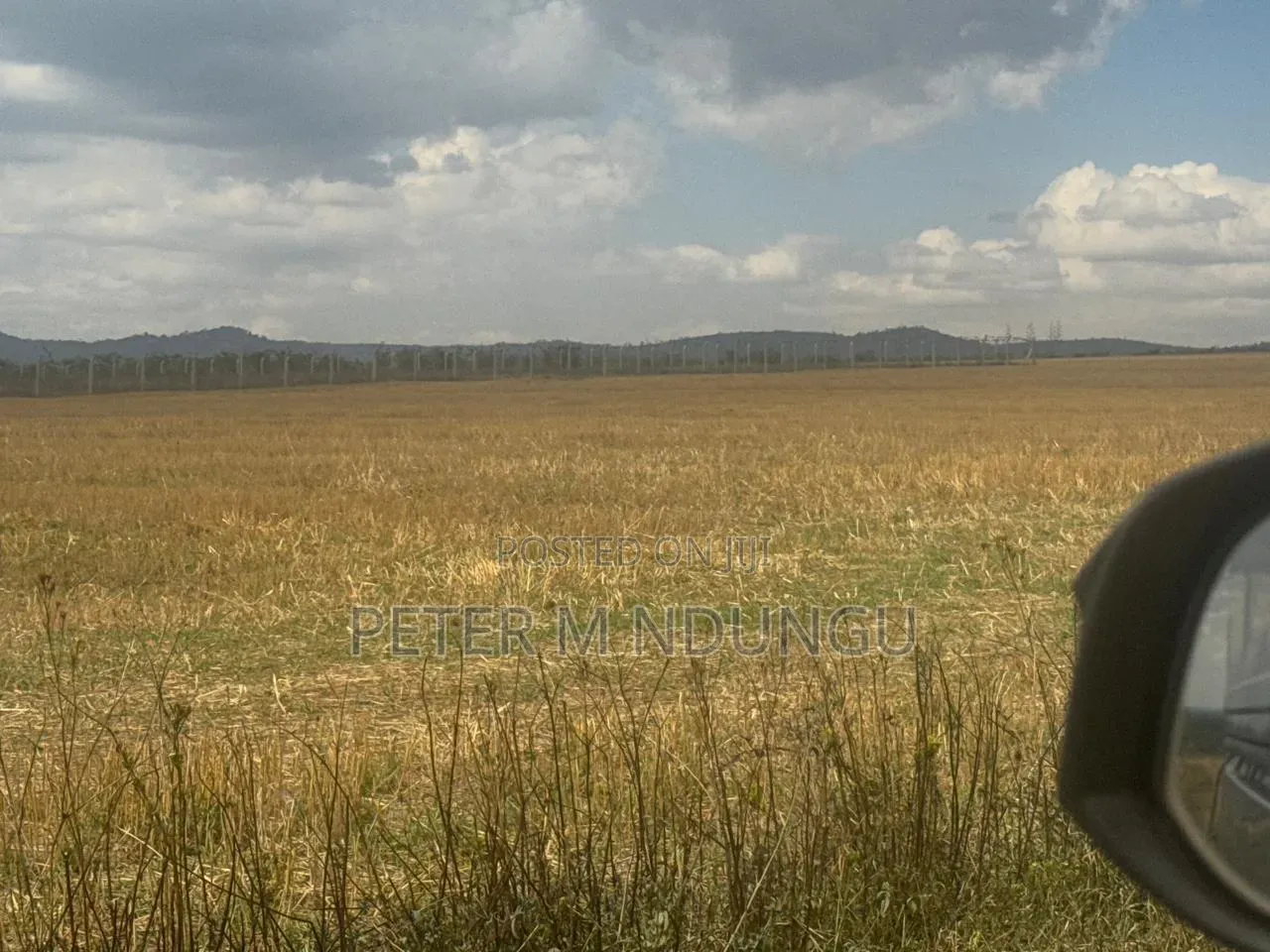 Nanyuki Near Ol Pejeta Conservancy-16 Acres, Title