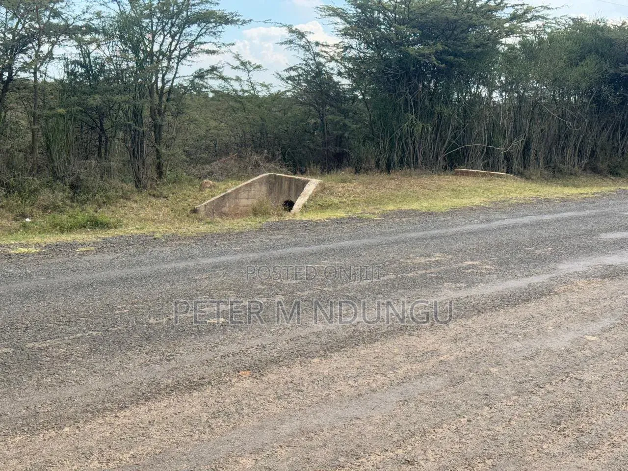 Nanyuki Near Ol Pejeta Conservancy-16 Acres, Title