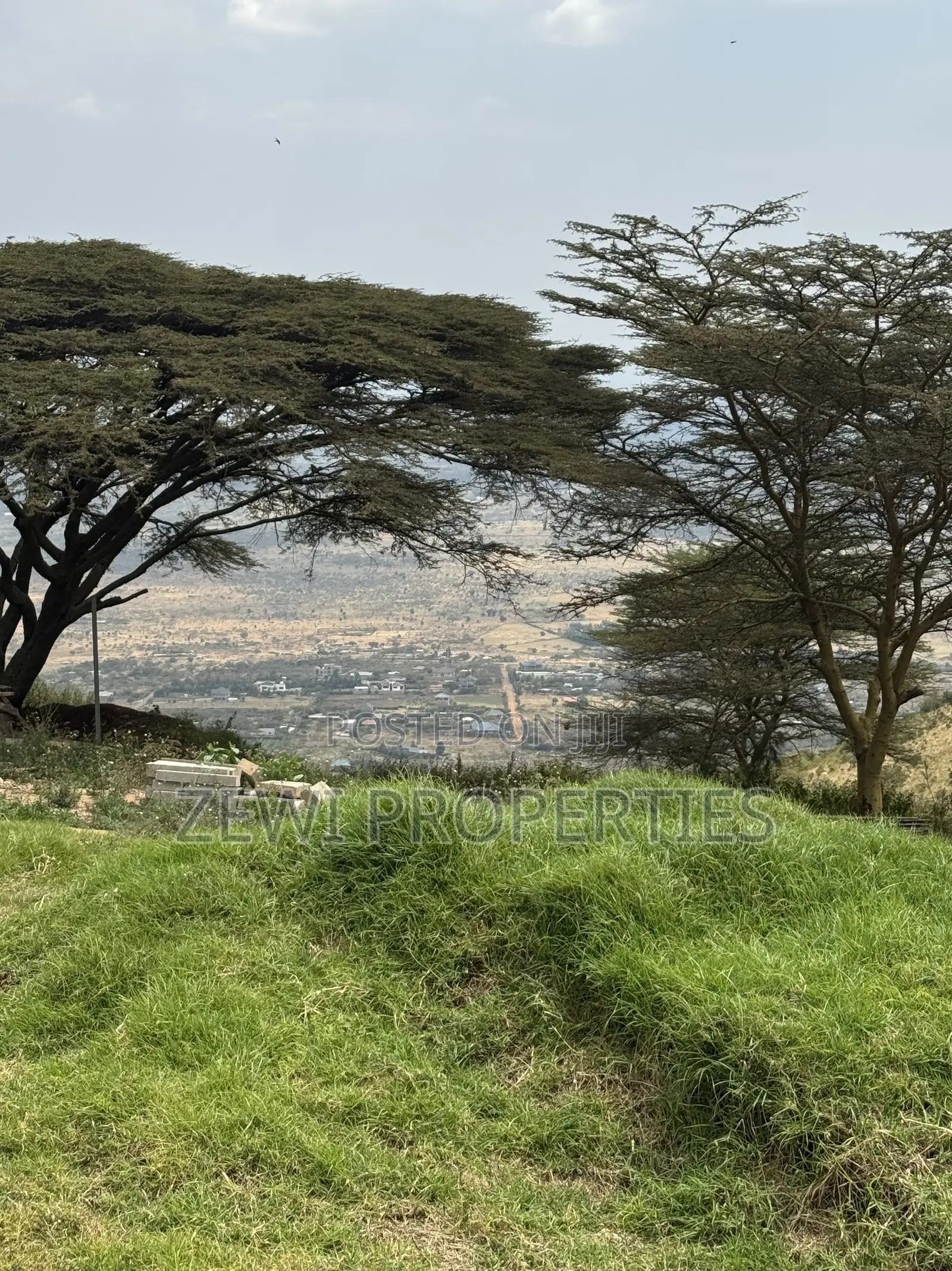 1/4 Acre Kibiku