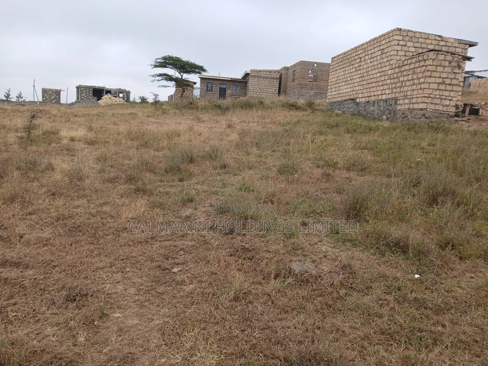 Selling a Prime 40 by 42 Feet Plot in Kiserian, University Way