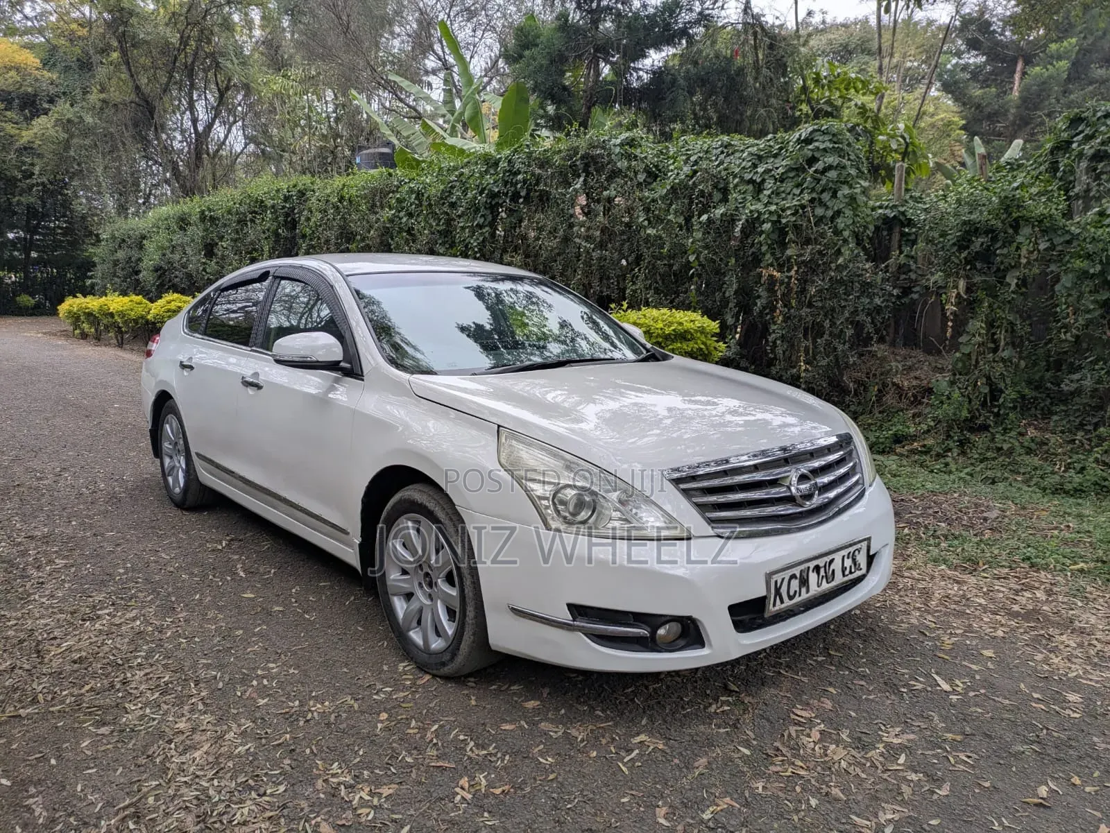 Nissan Teana 2010 White