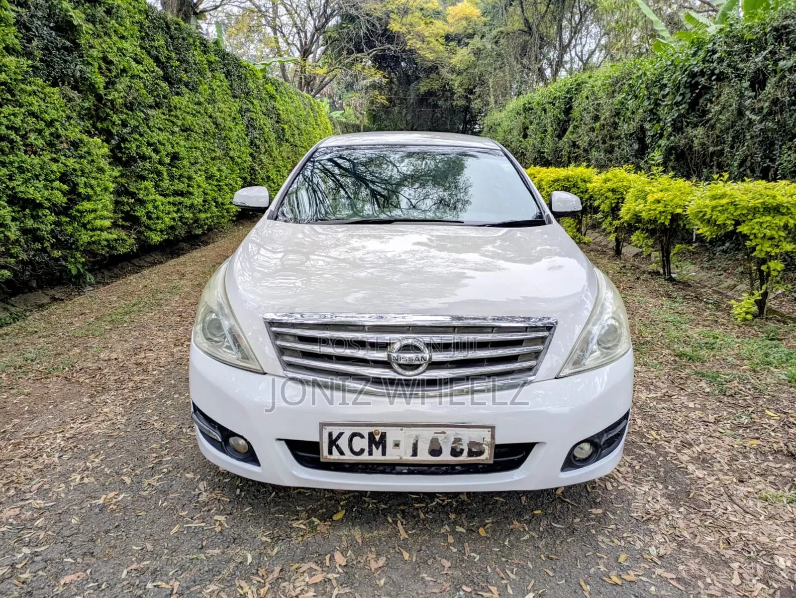 Nissan Teana 2010 White