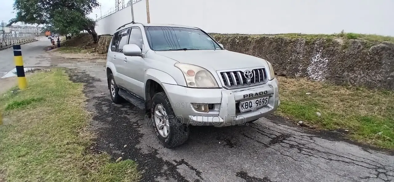 Toyota Land Cruiser 2004 Silver