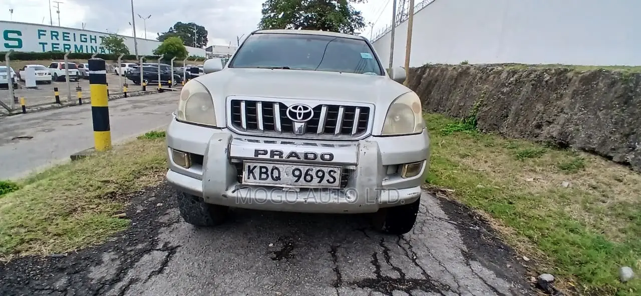 Toyota Land Cruiser 2004 Silver