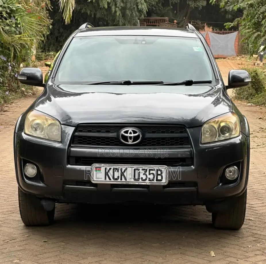 Toyota RAV4 2010 Gray