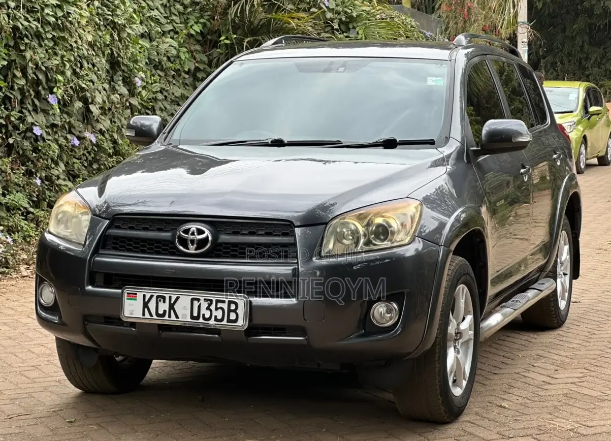 Toyota RAV4 2010 Gray