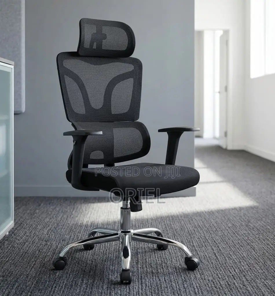 Office Chair : High-Back Office Orthopedic Chair