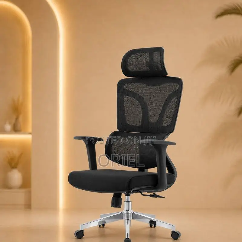 Office Chair : High-Back Office Orthopedic Chair