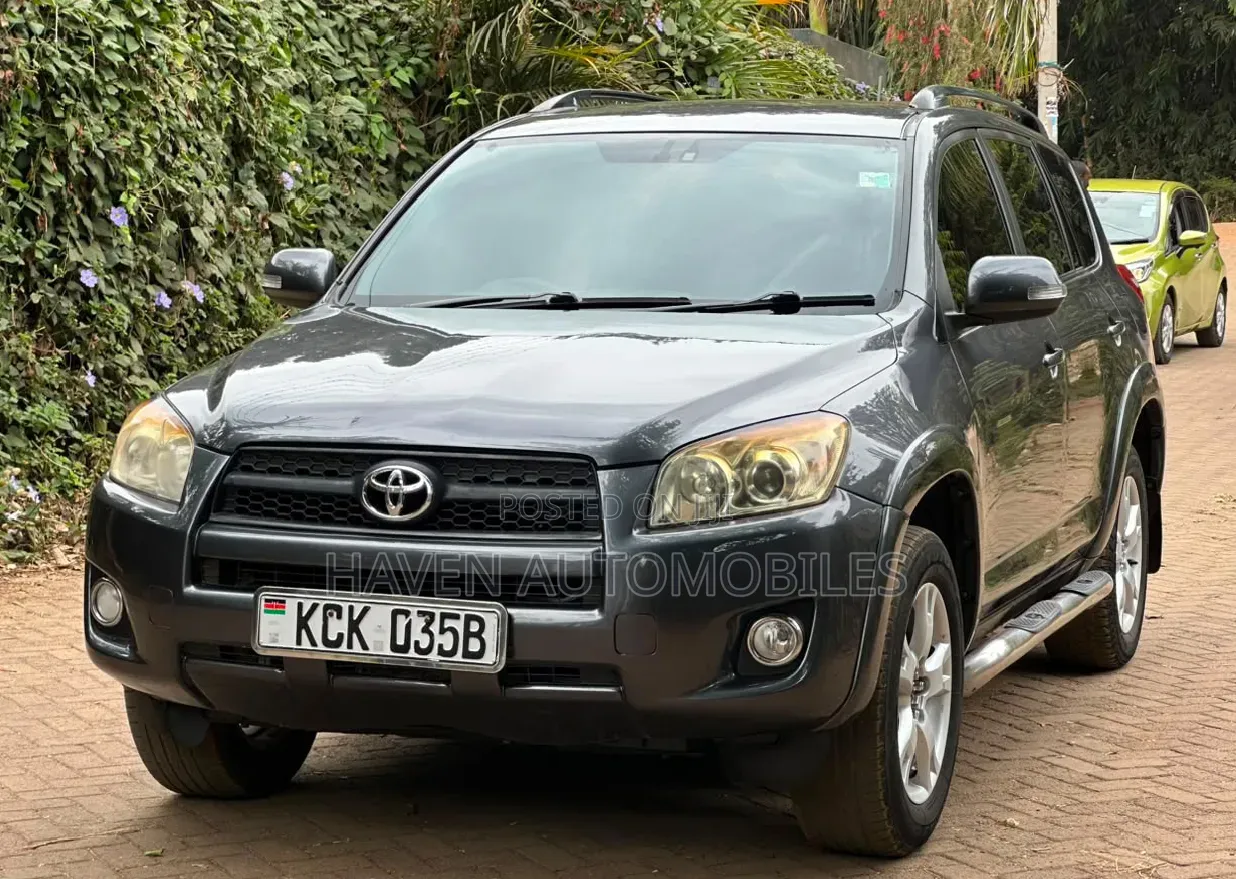 Toyota RAV4 2010 Gray