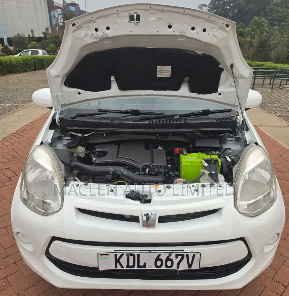 Toyota Passo 2016 White