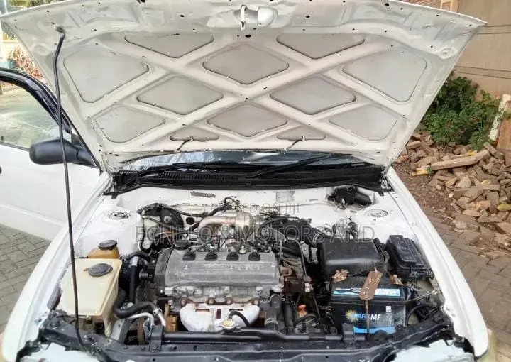 Toyota Corolla 1998 White