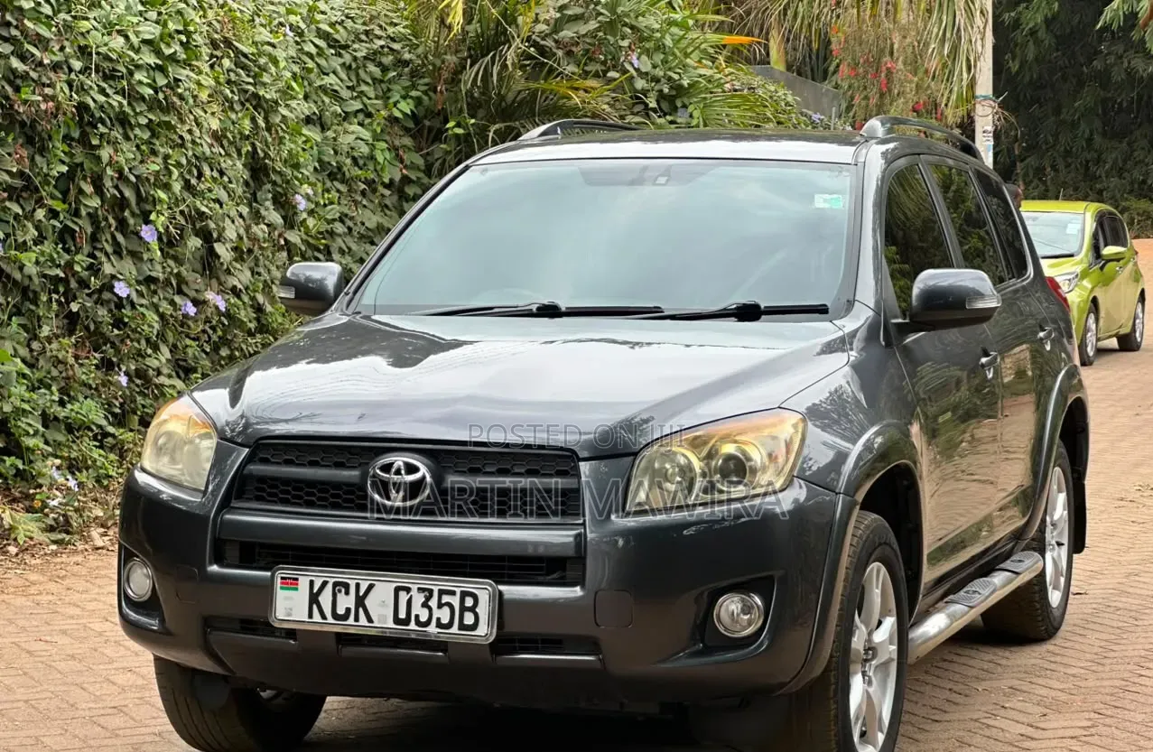Toyota RAV4 2010 Gray