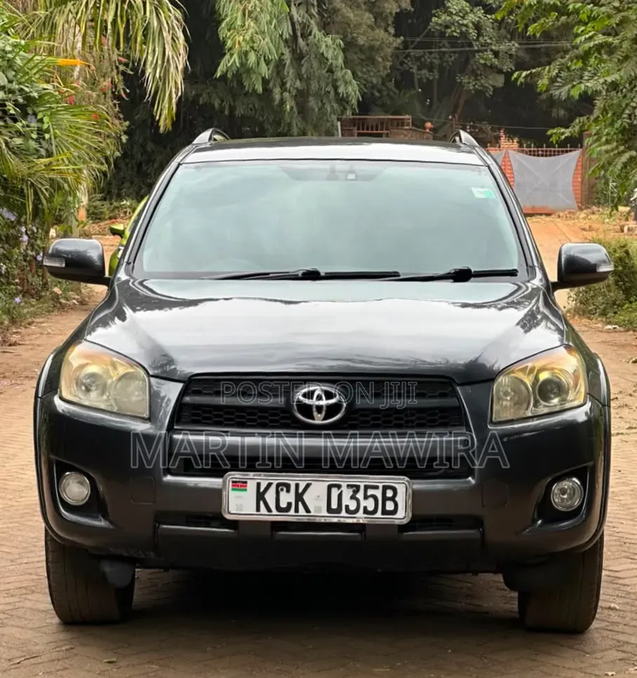 Toyota RAV4 2010 Gray