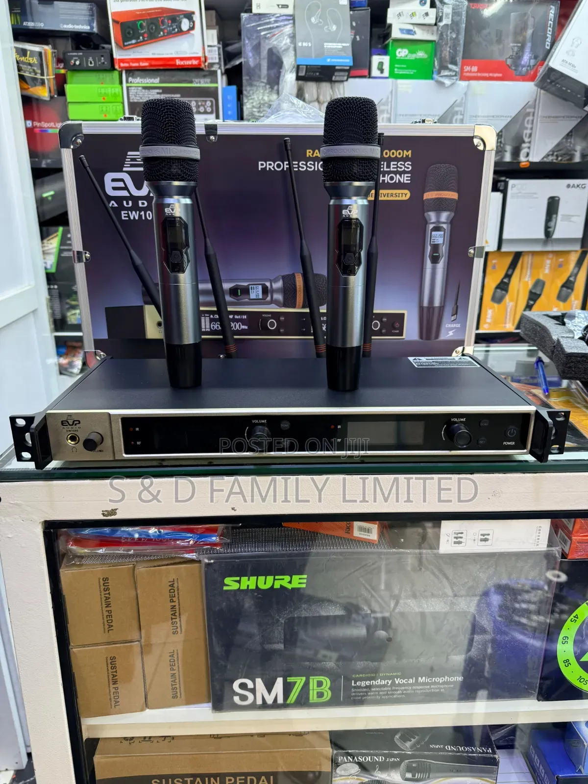 EVP EW 1000 Dual Wireless Microphone
