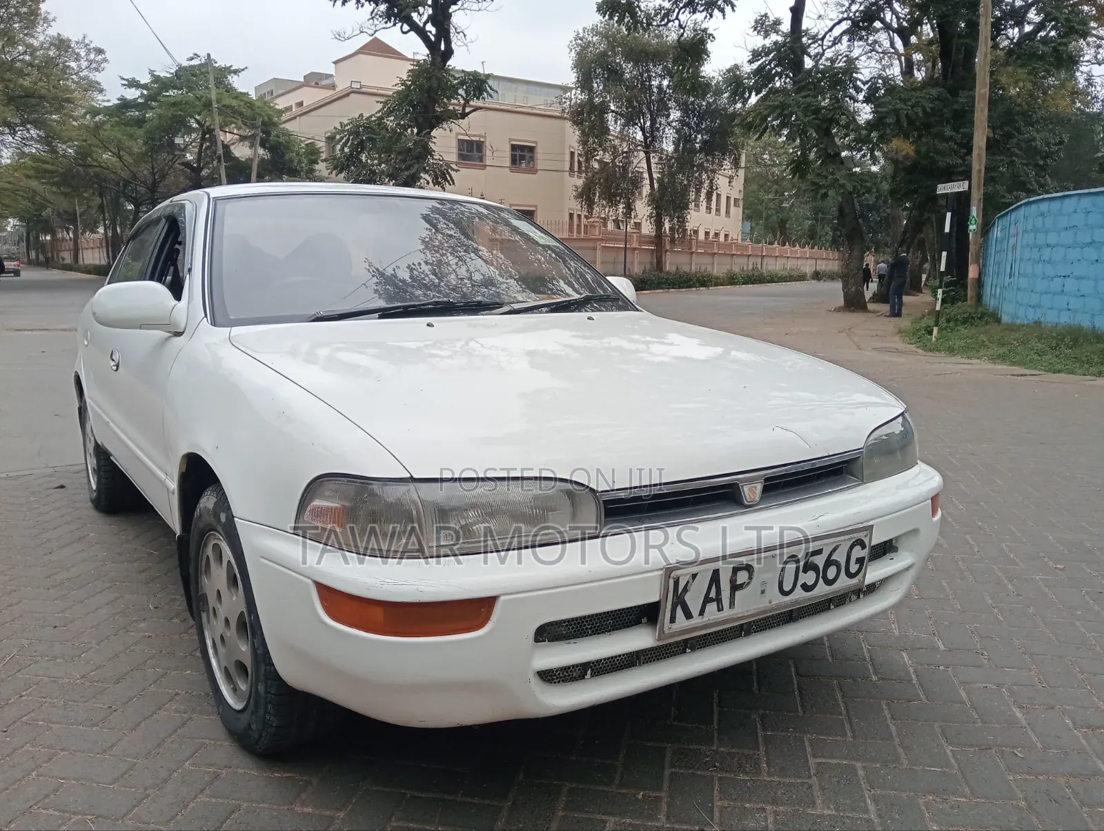 Toyota Sprinter 1999 White