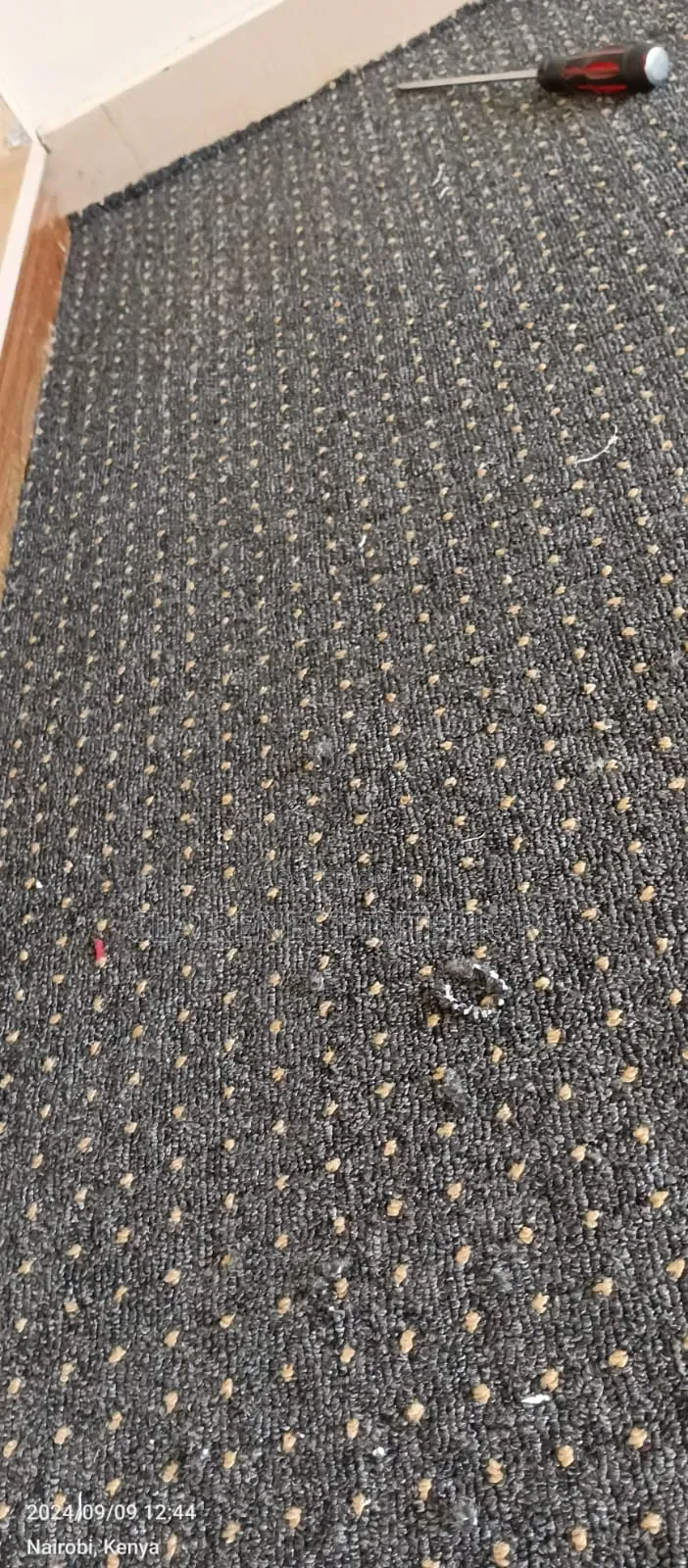 Cosy Flooring With Maasai Mara 5mm Wall to Wall Carpets