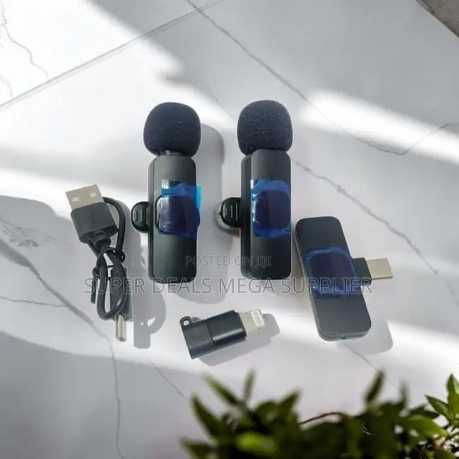 Wide Compatibility Mini Lapel Lavalier Dual Wireless Microphone