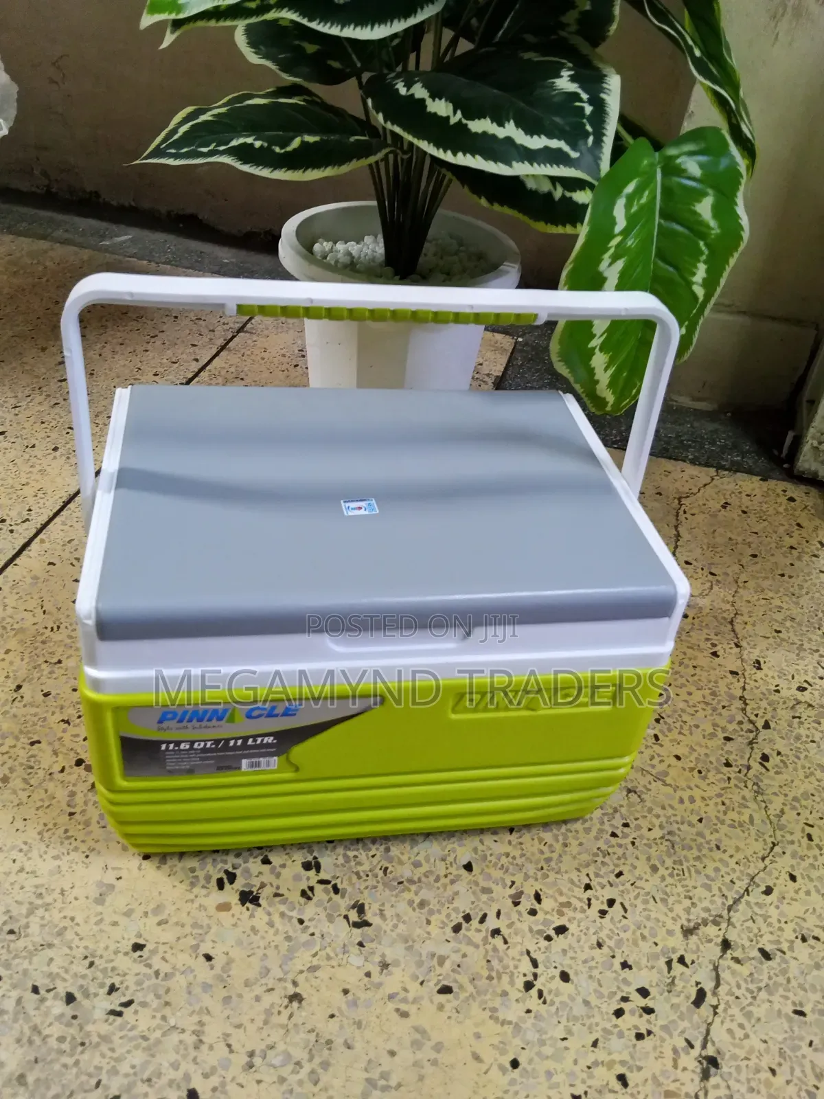 11LTR Cooler Box / Pinnacle Cooler Box 11 Litre