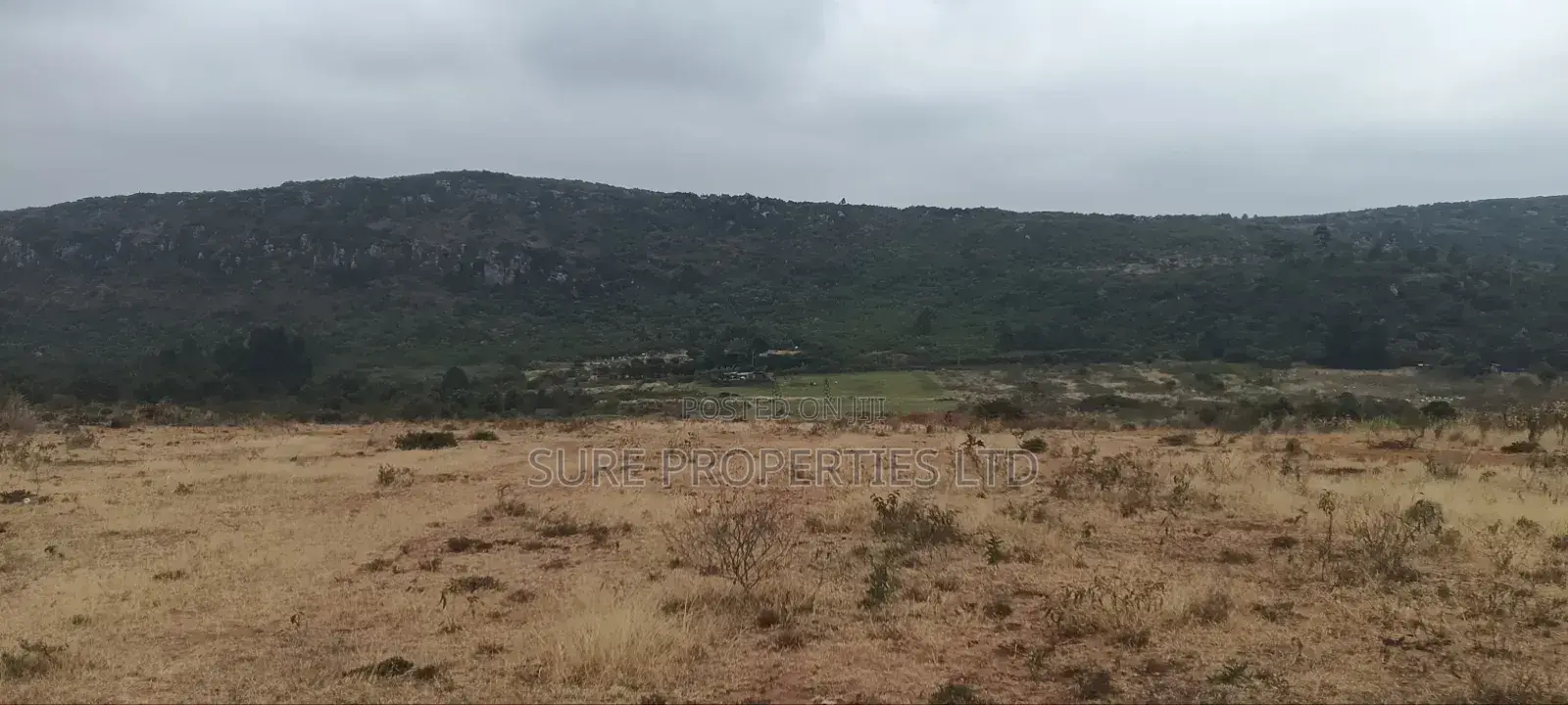6.5 Acres in Kikuyu