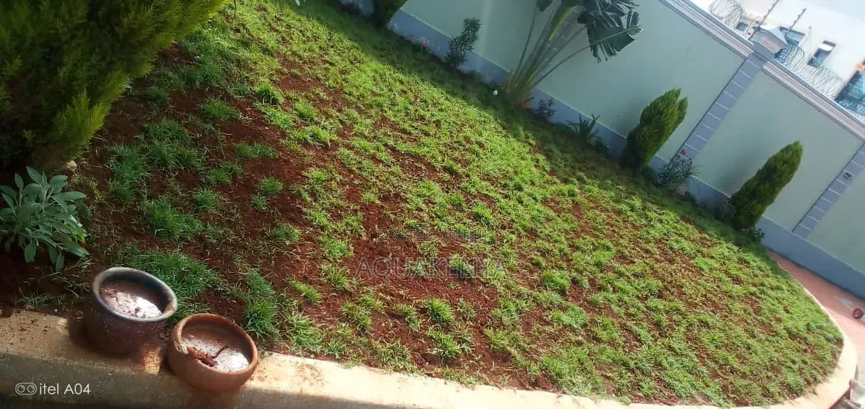 Landscaping Services,beauty in Your Compound