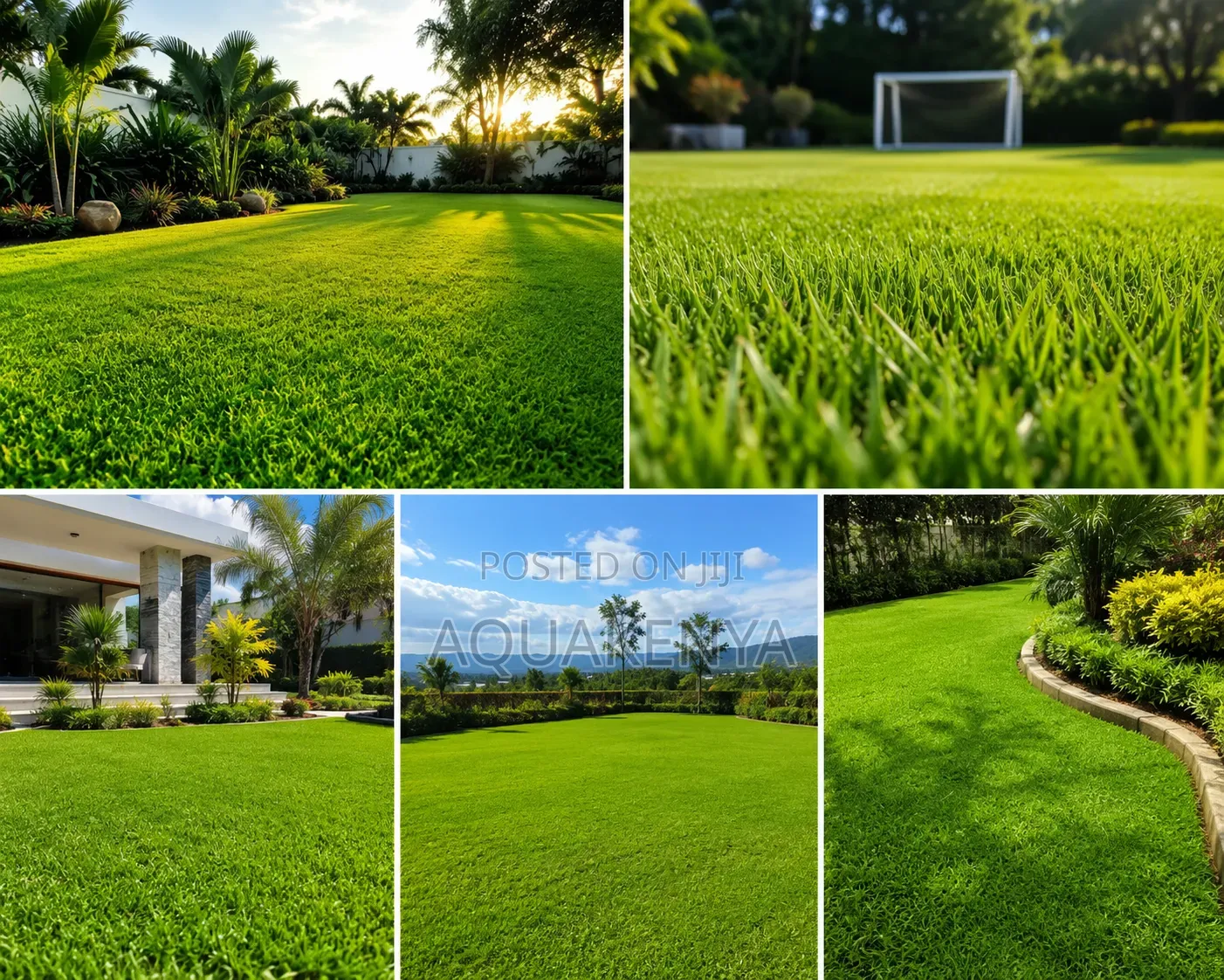 Landscaped Green Lawns,landscaping Services