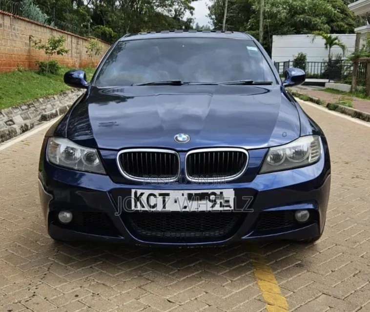 BMW 318i 2011 Blue