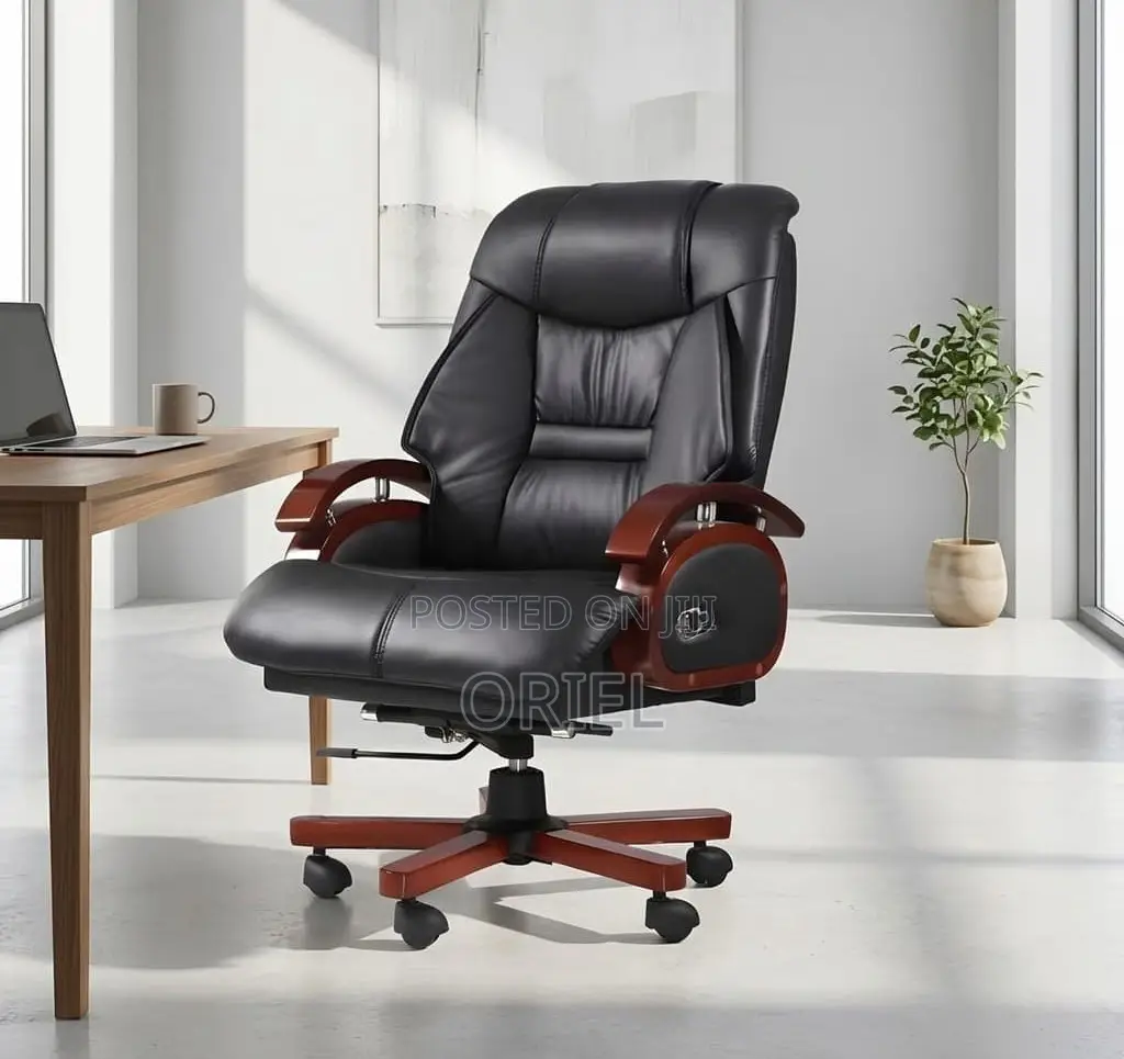 Office Chair : Executive Office Director Seat