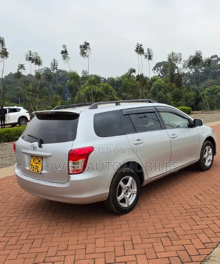 Toyota Corolla Fielder 2010 Silver