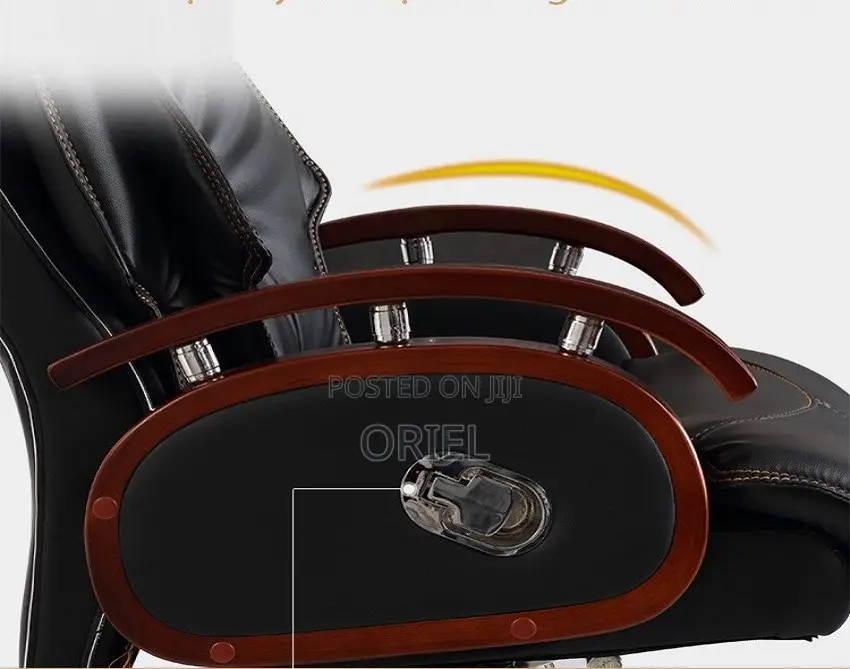 Office Chair : Executive Office Director Seat