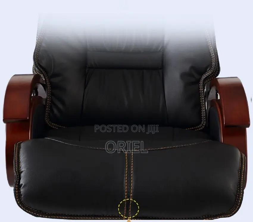 Office Chair : Executive Office Director Seat