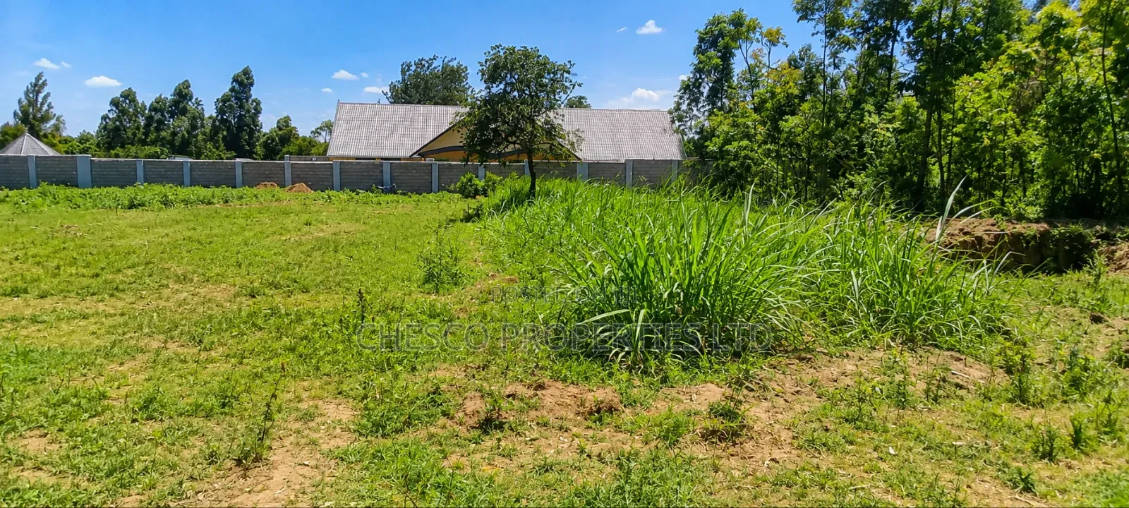 4 Plots for Sale in Makutano - Kanduyi
