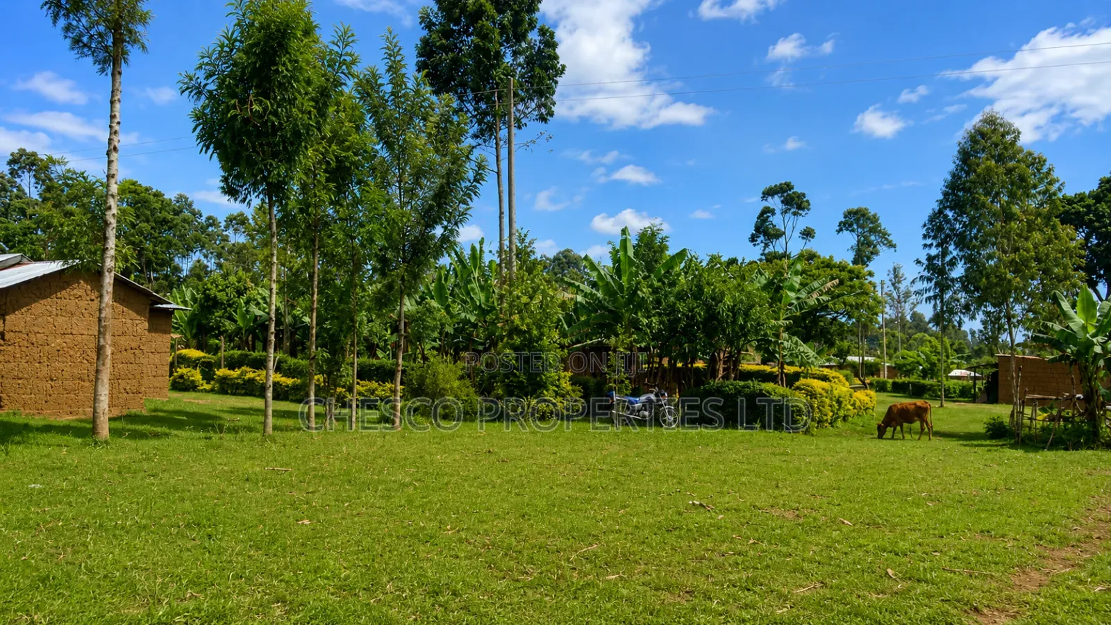 3 Plots for Sale in Ndengelwa, 100 Metres From Tarmac