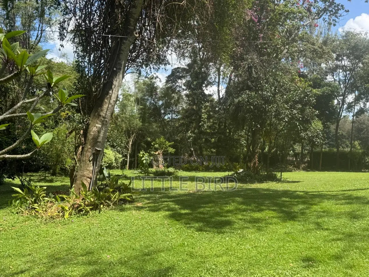 6bdrm House in Karen C for rent