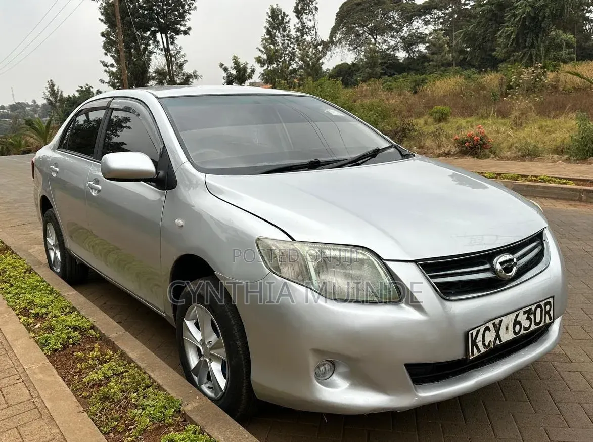 Toyota Axio 2012 Silver