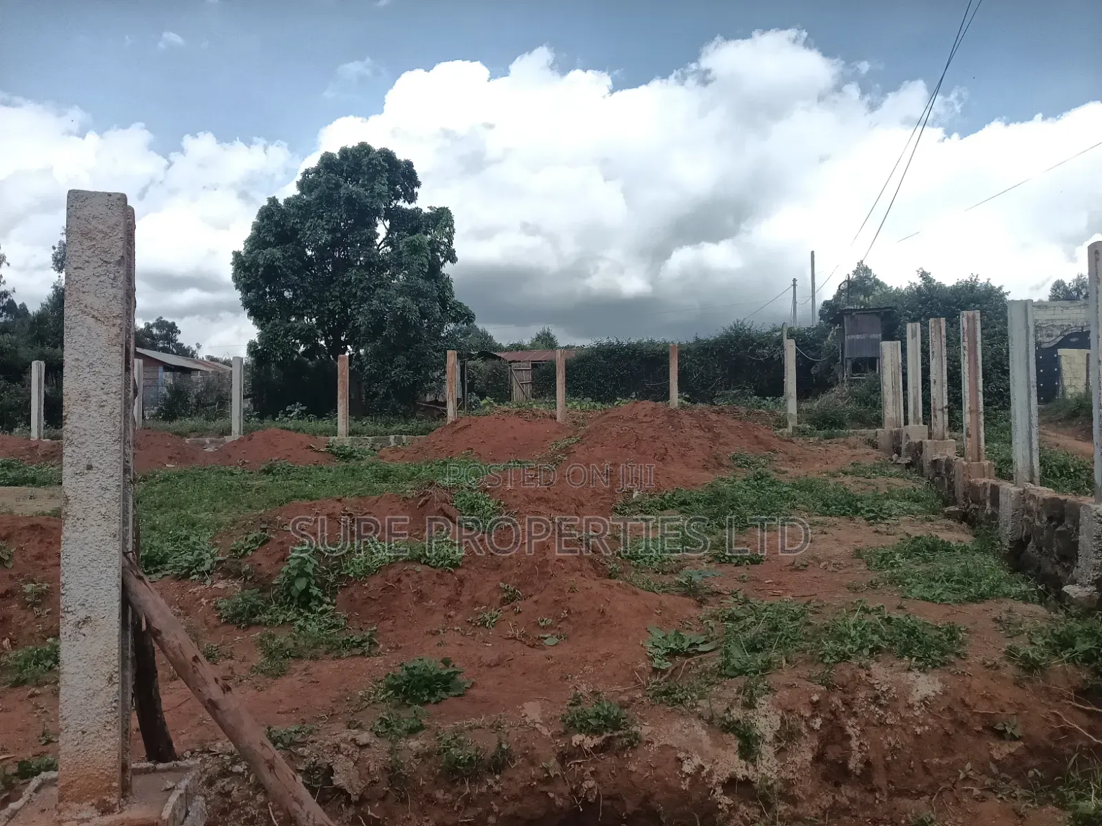 50x100 Plot Kikuyu