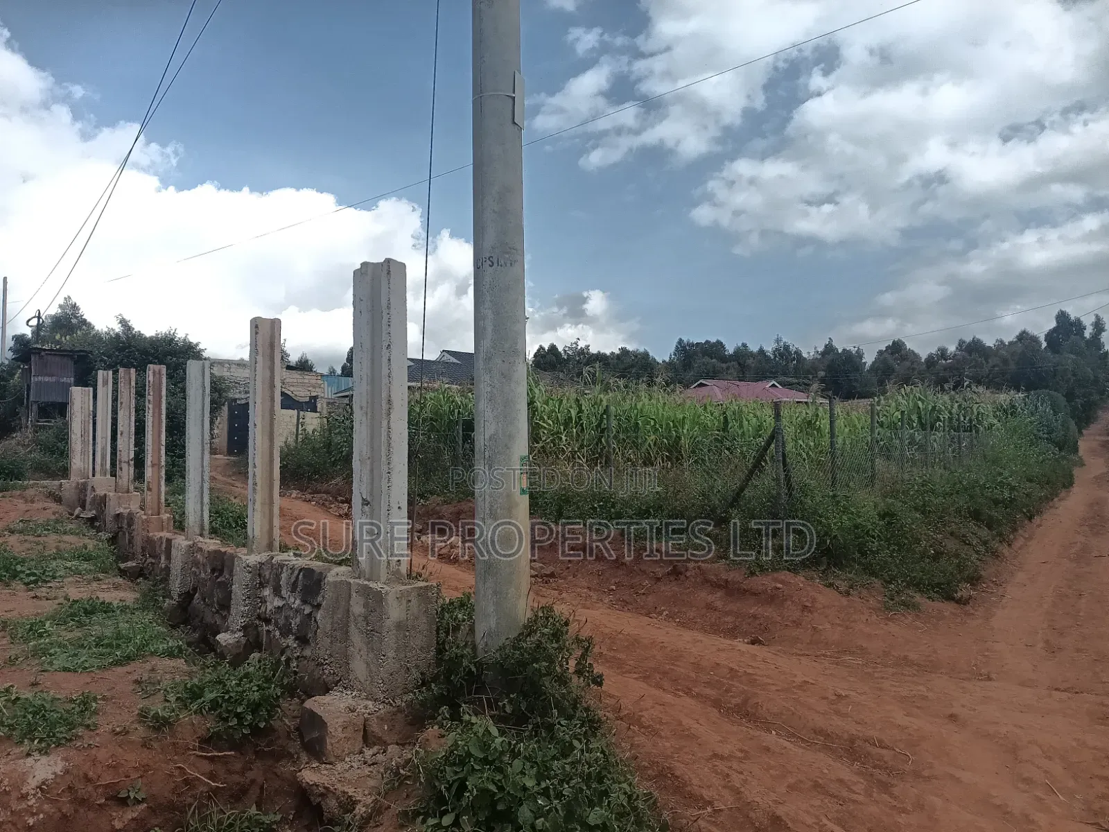 50x100 Plot Kikuyu