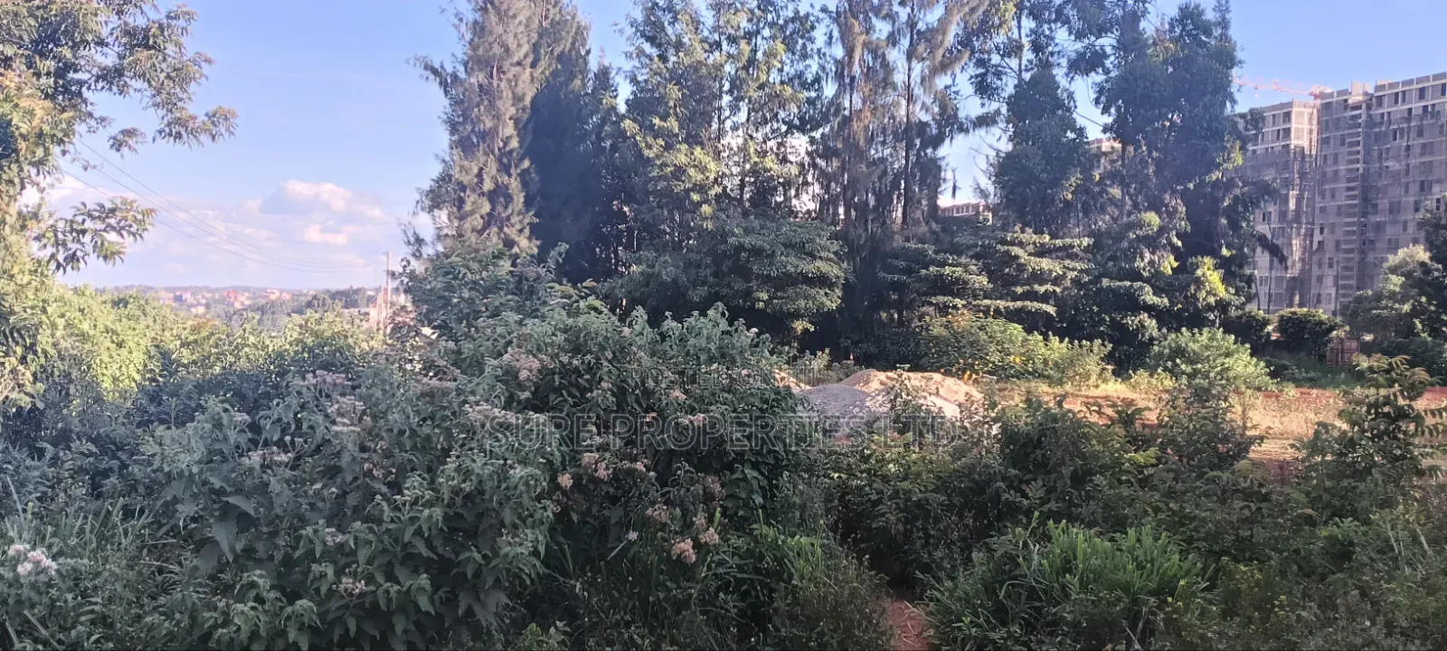 Kikuyu, Gitaru 50x100 Plot