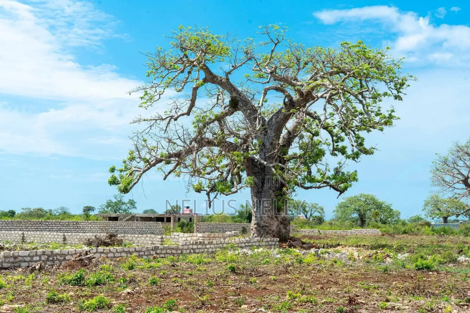 Diani, Galu Near Neptune Beach Resort 1/8 Acre Plots