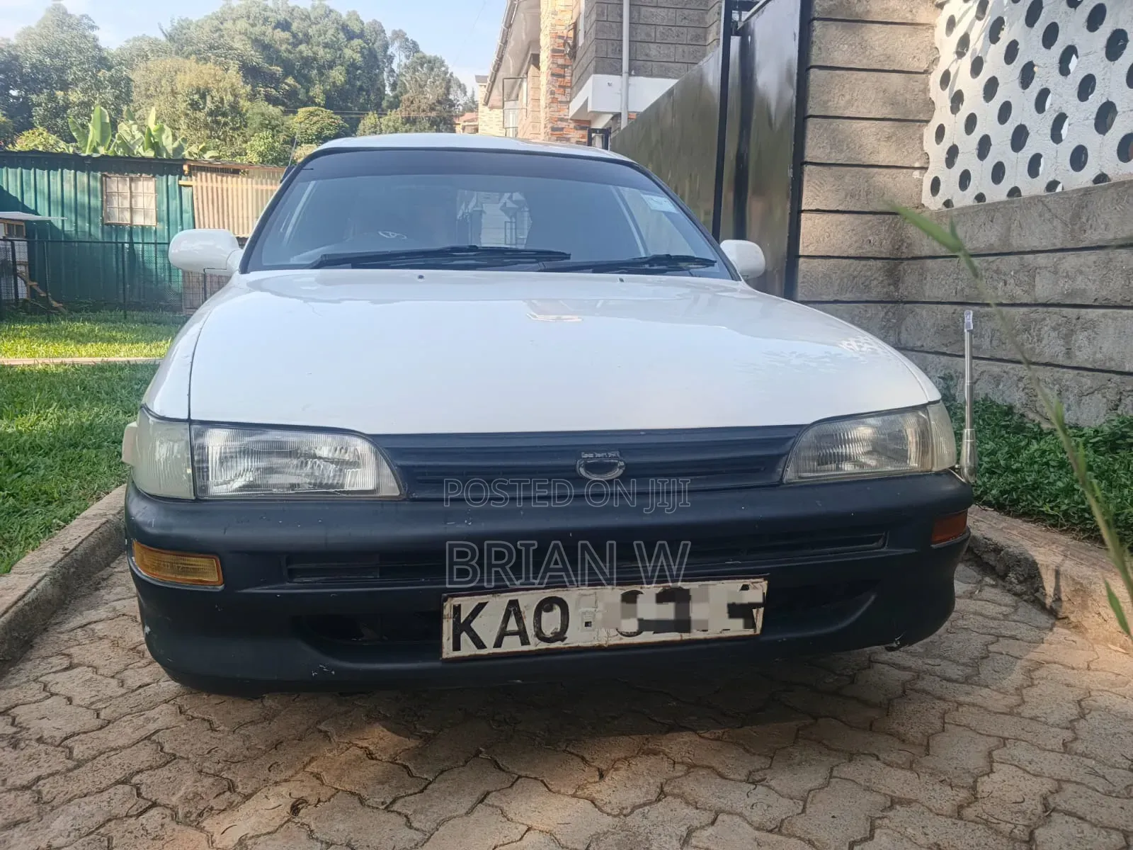 Toyota Corolla 2003 White