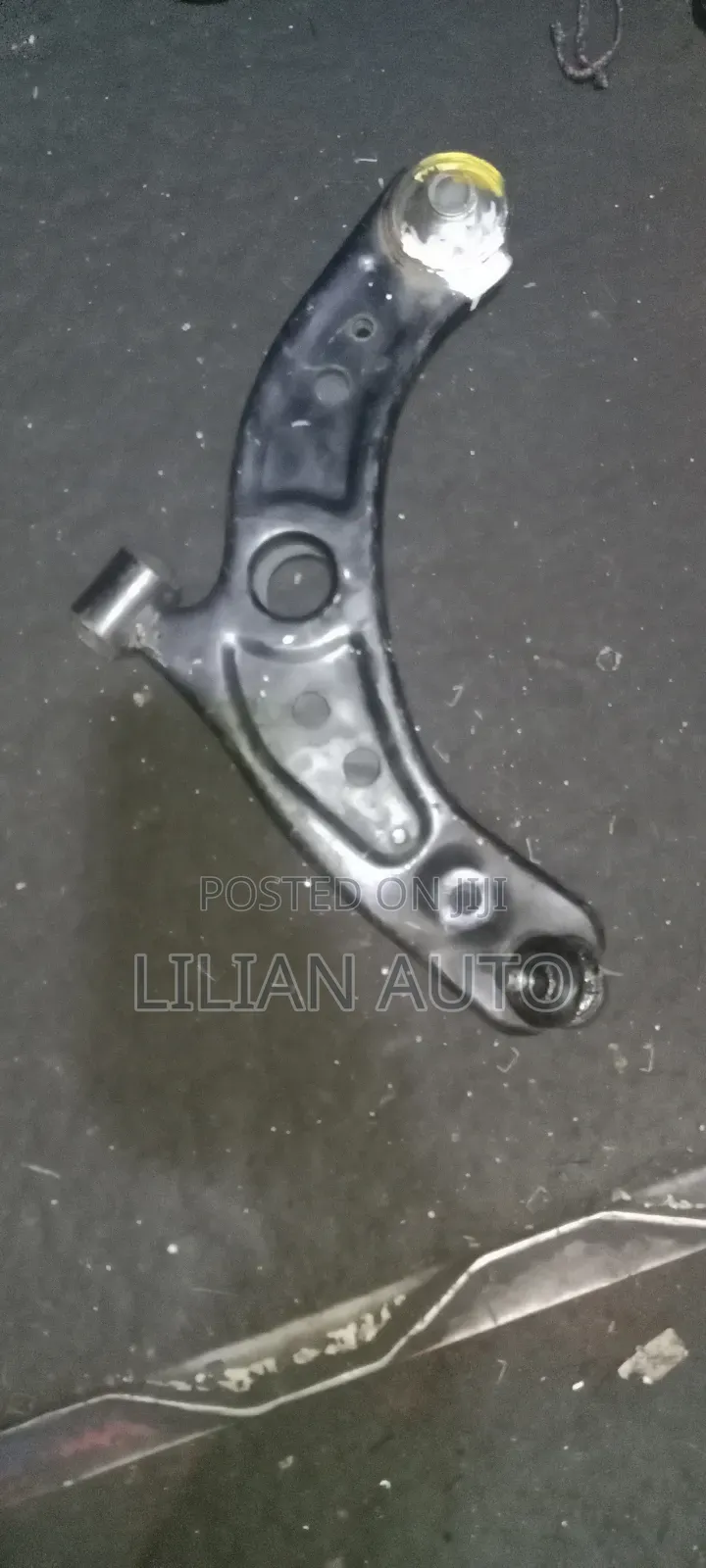 Passo Control Arm